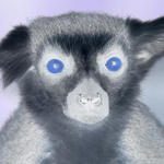 Lemur Inverted...