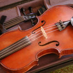 Violin Awaiting Operator...