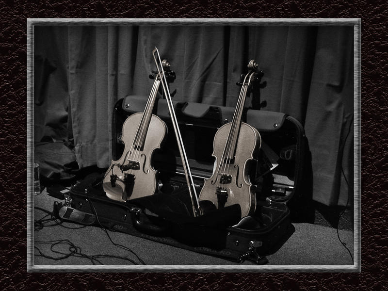 Rosie's Violins...
