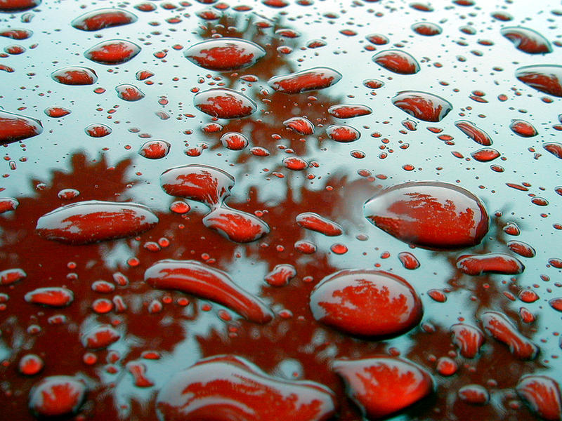 Pretty Colors and Beaded Rain...