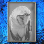 Owl On Blue...