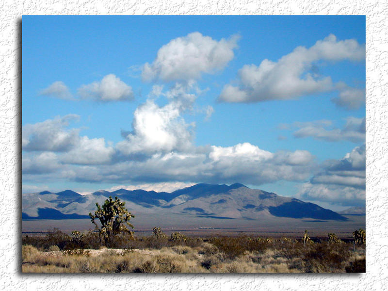 Desert Near Vegas...