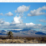 Desert Near Vegas...