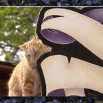 Yard Cat at Scarby...