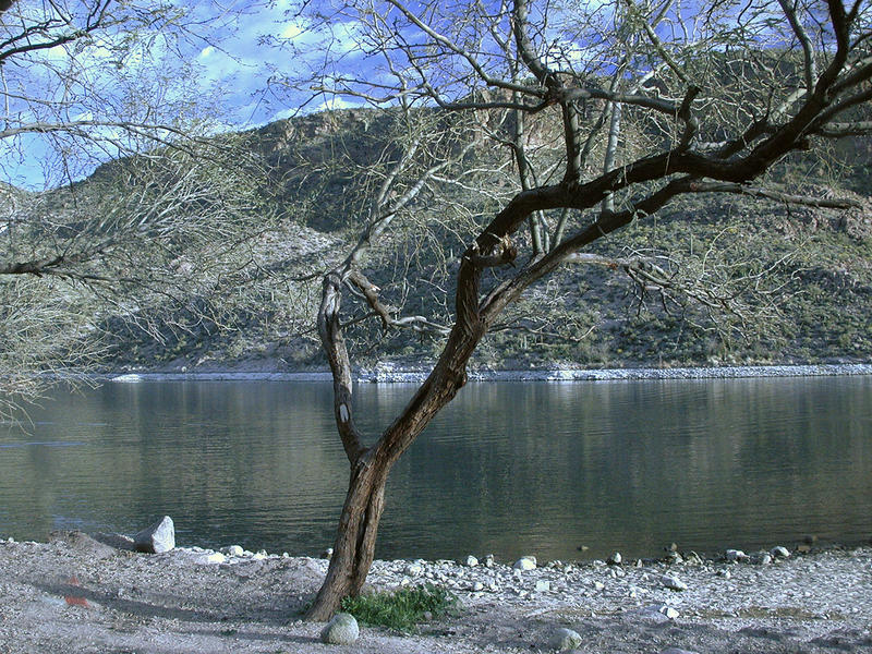 Canyon Lake in Arizona ...