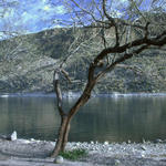 Canyon Lake in Arizona ...