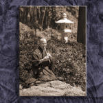Japanese Fall Festival at Fort Worth Japanese Gardens...