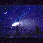 Dove and Comet #1...