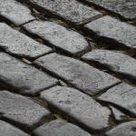 Cowtown Cobbles...
