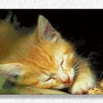 Tigger #1...