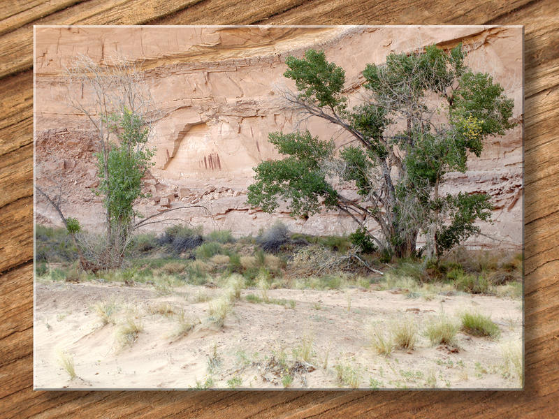 High on a Cliff Face...
