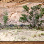 High on a Cliff Face...