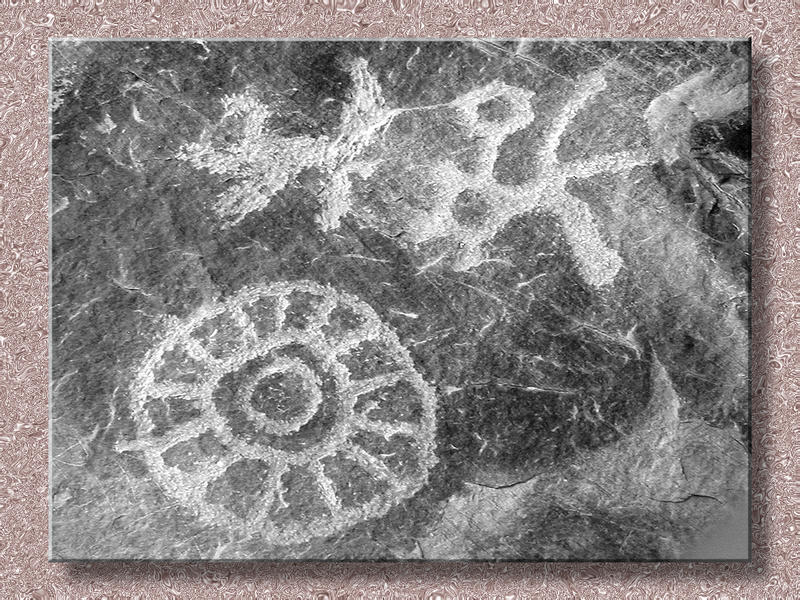 Petroglyph National Monument...