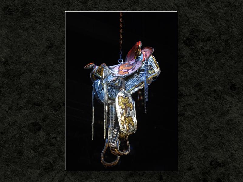 Sparkly Saddle at Billy Bob's...