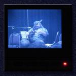 Videographer's View of Tom Smith...