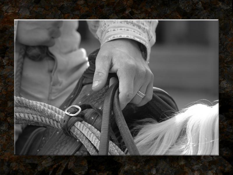 Hand On the Reins...