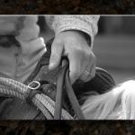 Hand On the Reins...