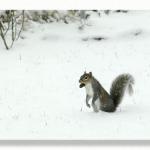 Nuts To You Too!!!