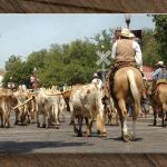 End of the Cattle Drive (Tail End, That Is)...
