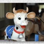 Well... It IS Cowtown After All!!!