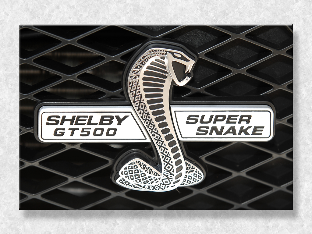 Truly Snakey...