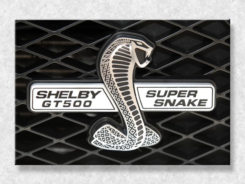 Truly Snakey...
