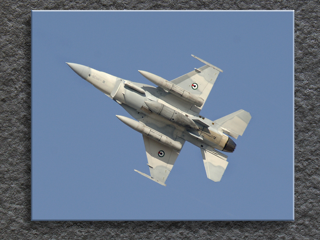 F16 - Nice Belly...