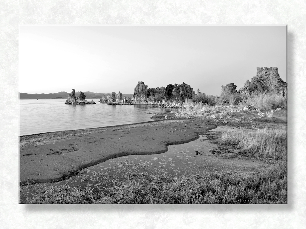 Mono in B&W II...