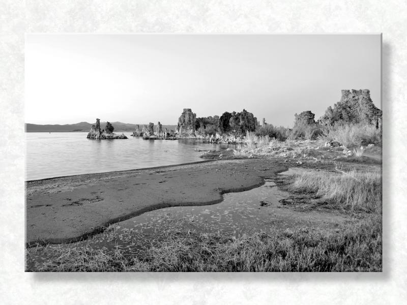 Mono in B&W II...