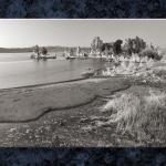 Mono In B&W III...
