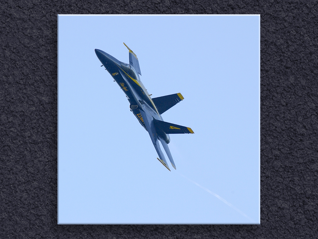 Pretty Fly By...