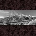 Near Whitney...