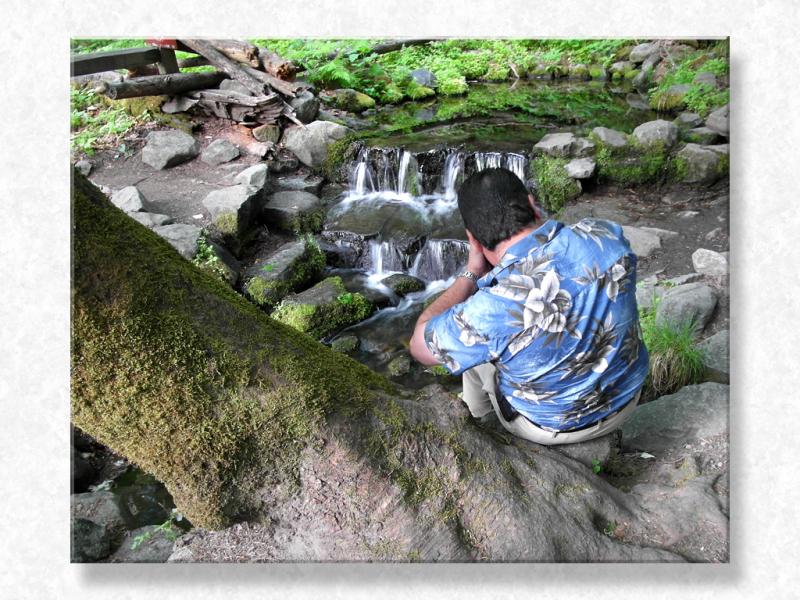 First Fascination at Yosemite...