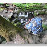 First Fascination at Yosemite...