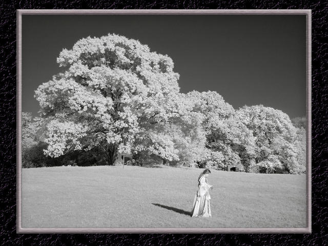 Four Winds Fields in IR...