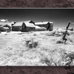 Bodie In IR...