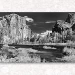 Infra Red Merced...