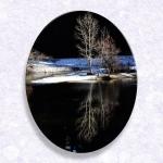 Tree and Reflection...