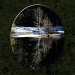 Tree and Reflection II...
