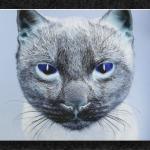 Negative Noser...