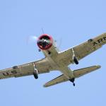2292-2249aHDs10.jpg