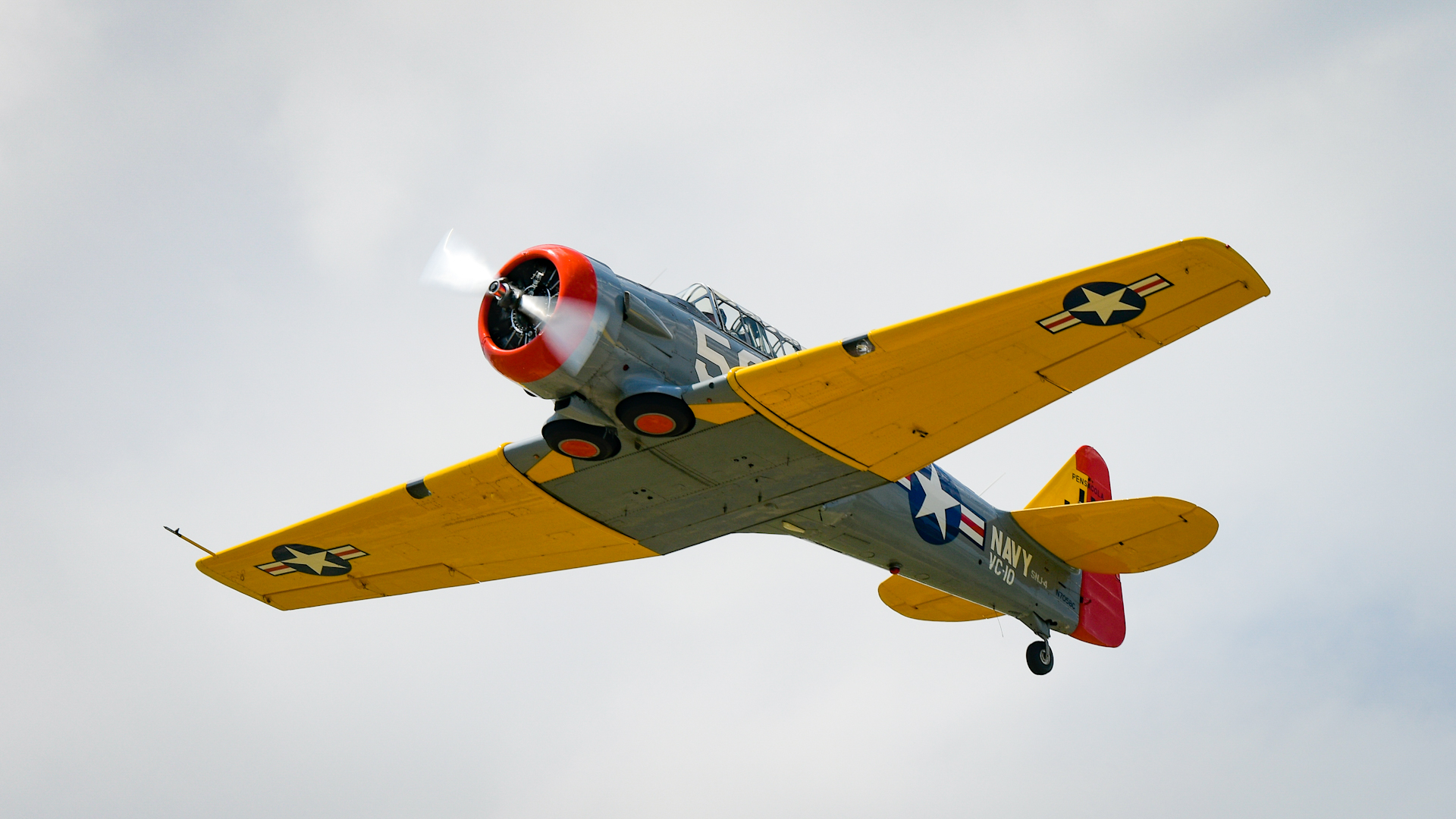 4164-2585aHDs10.jpg