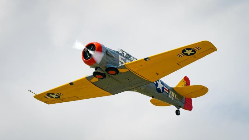 4164-2585aHDs10.jpg