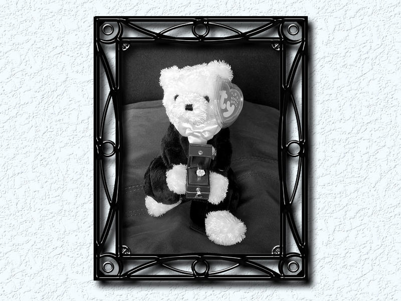 Proposal Bear...
