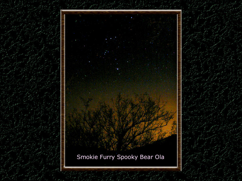 Smokie's Star... Named For Her Lost Cat...