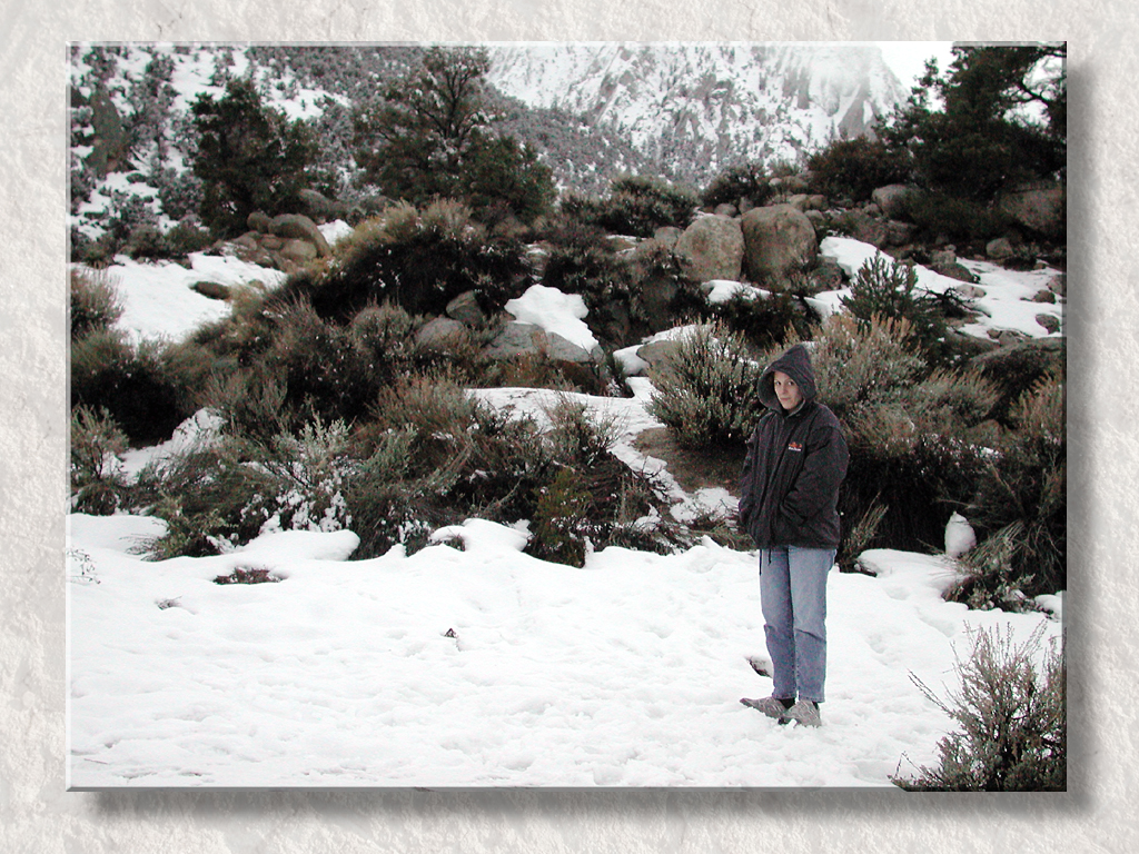 At 6000 ft. On Mt. Whitney...